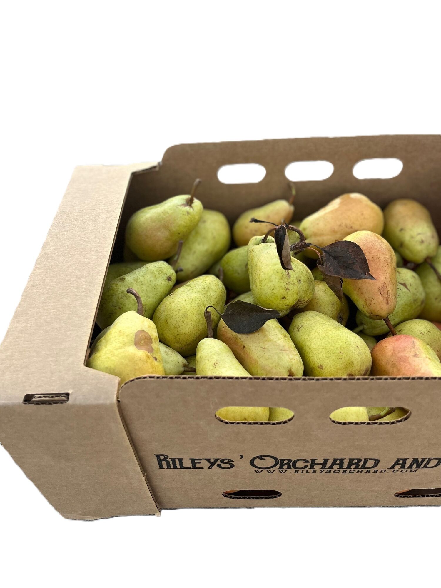 Rileys' Orchard Bartlett Pears, 18-lb Box