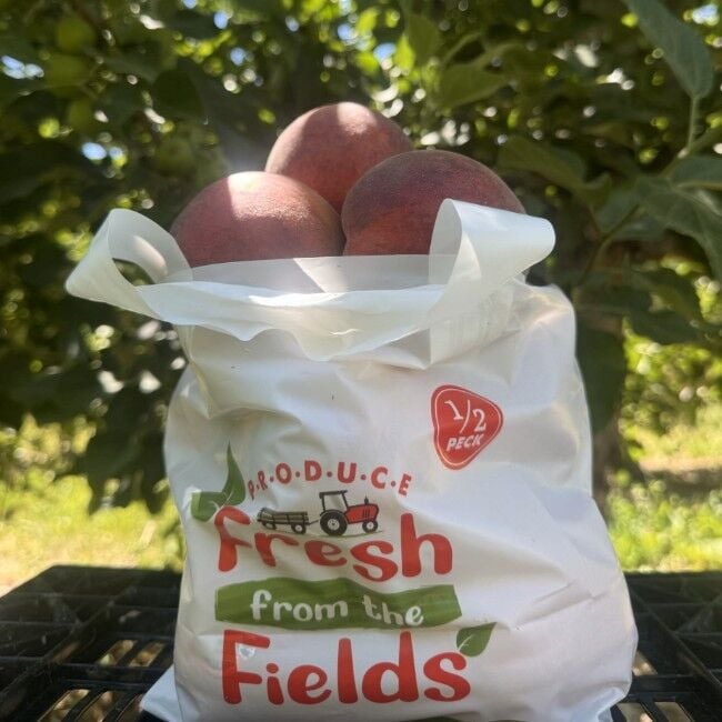 Rileys' Orchard Yellow Freestone Peach Variety, 5-lb Bag