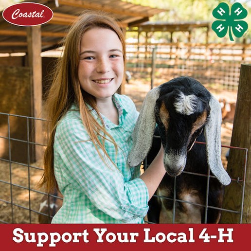 Donate to Your Local 4-H Today