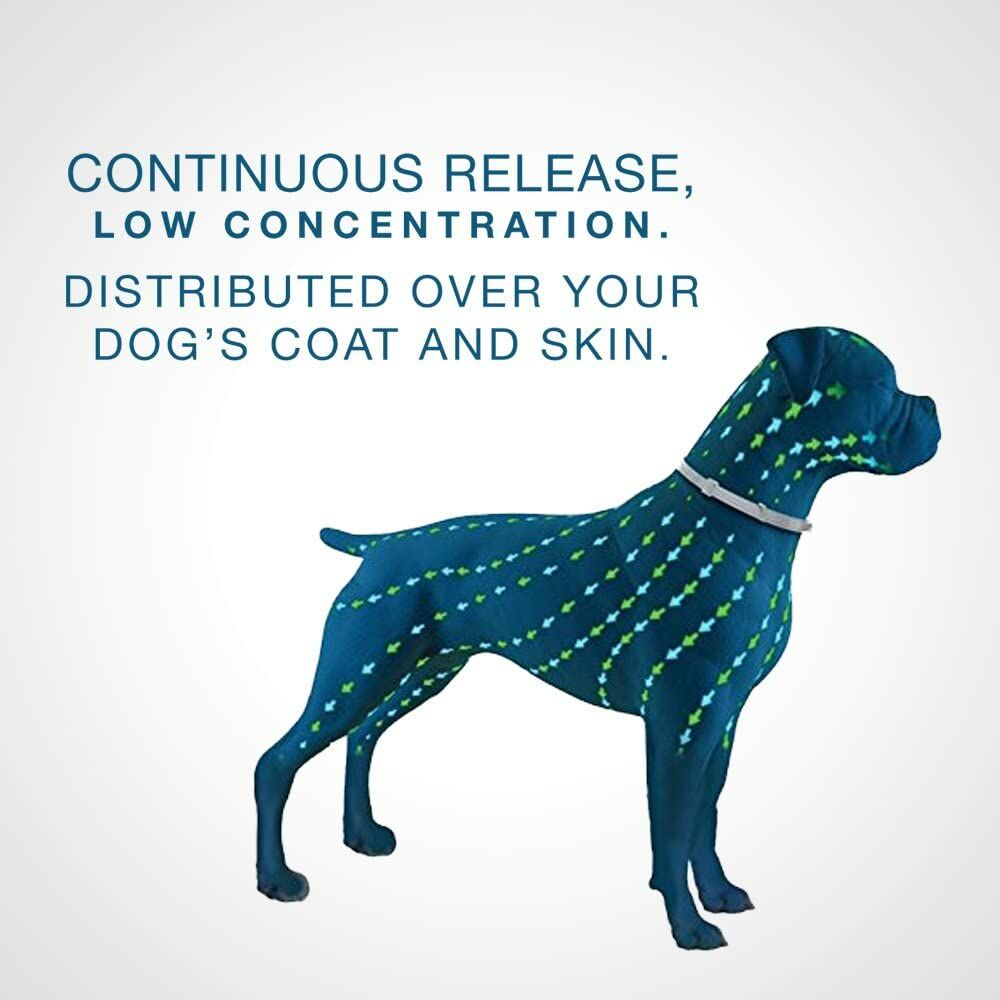 Seresto Flea & Tick Collar for Small Dogs up to 18 lbs