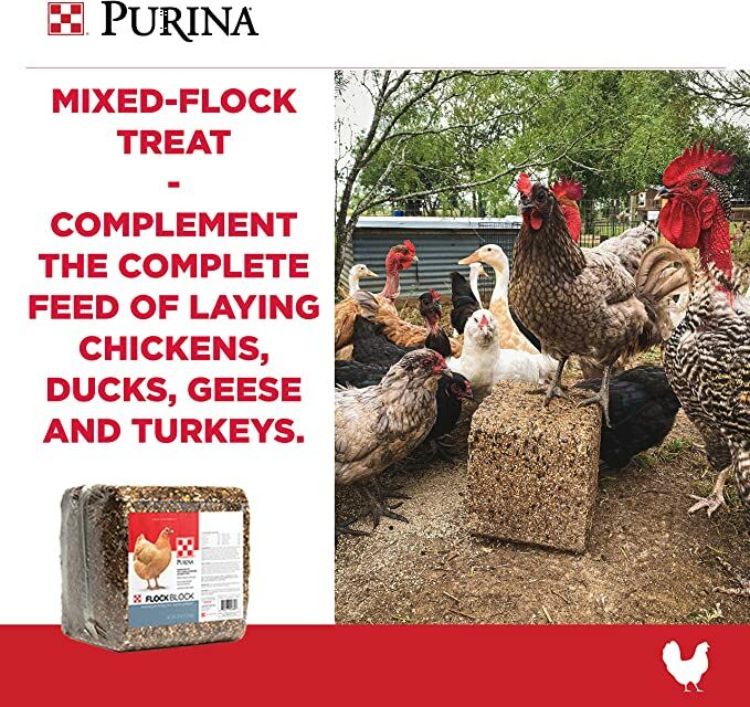 Purina Premium Poultry Supplement Flock Block, 25-Lb