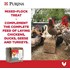 Purina Premium Poultry Supplement Flock Block, 25-Lb