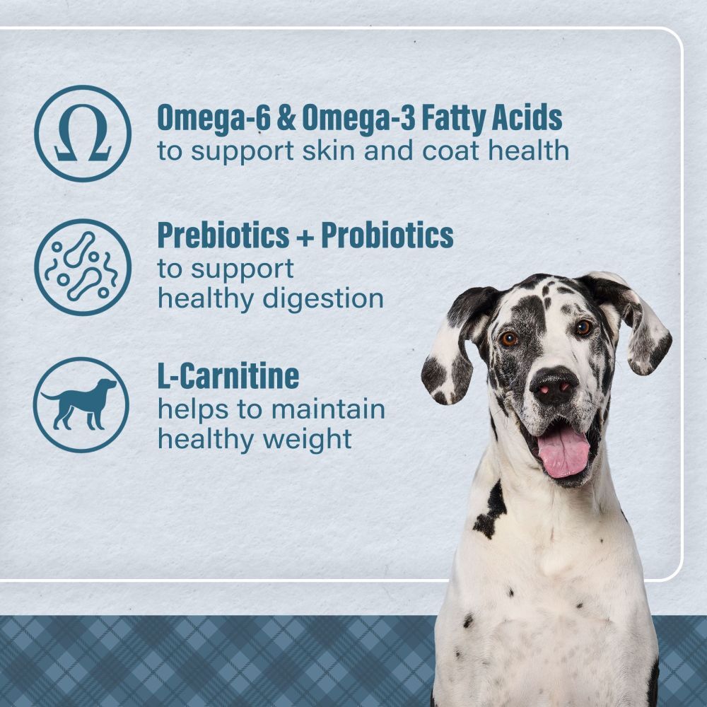 Loyall Life Large Breed Beef & Barley Recipe Adult Dog Food, 40-Lb