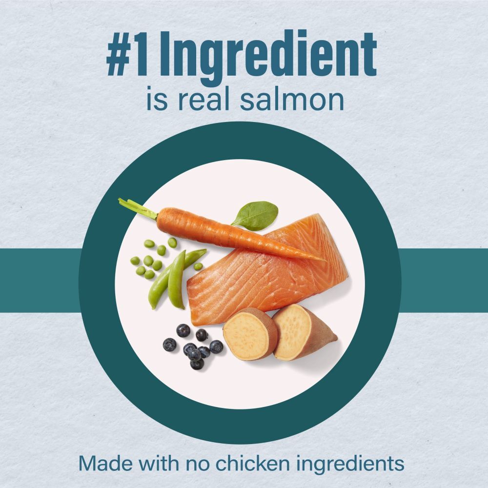 Loyall Life Advanced Solutions Sensitive Skin & Coat Salmon & Oatmeal Recipe Adult Dog Food, 30-Lb