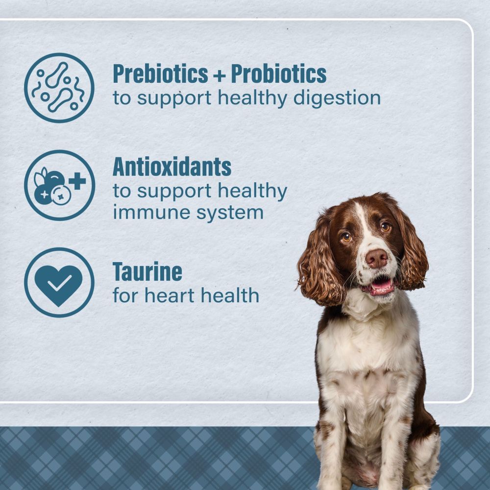 Loyall Life Advanced Solutions Sensitive Skin & Coat Salmon & Oatmeal Recipe Adult Dog Food, 30-Lb