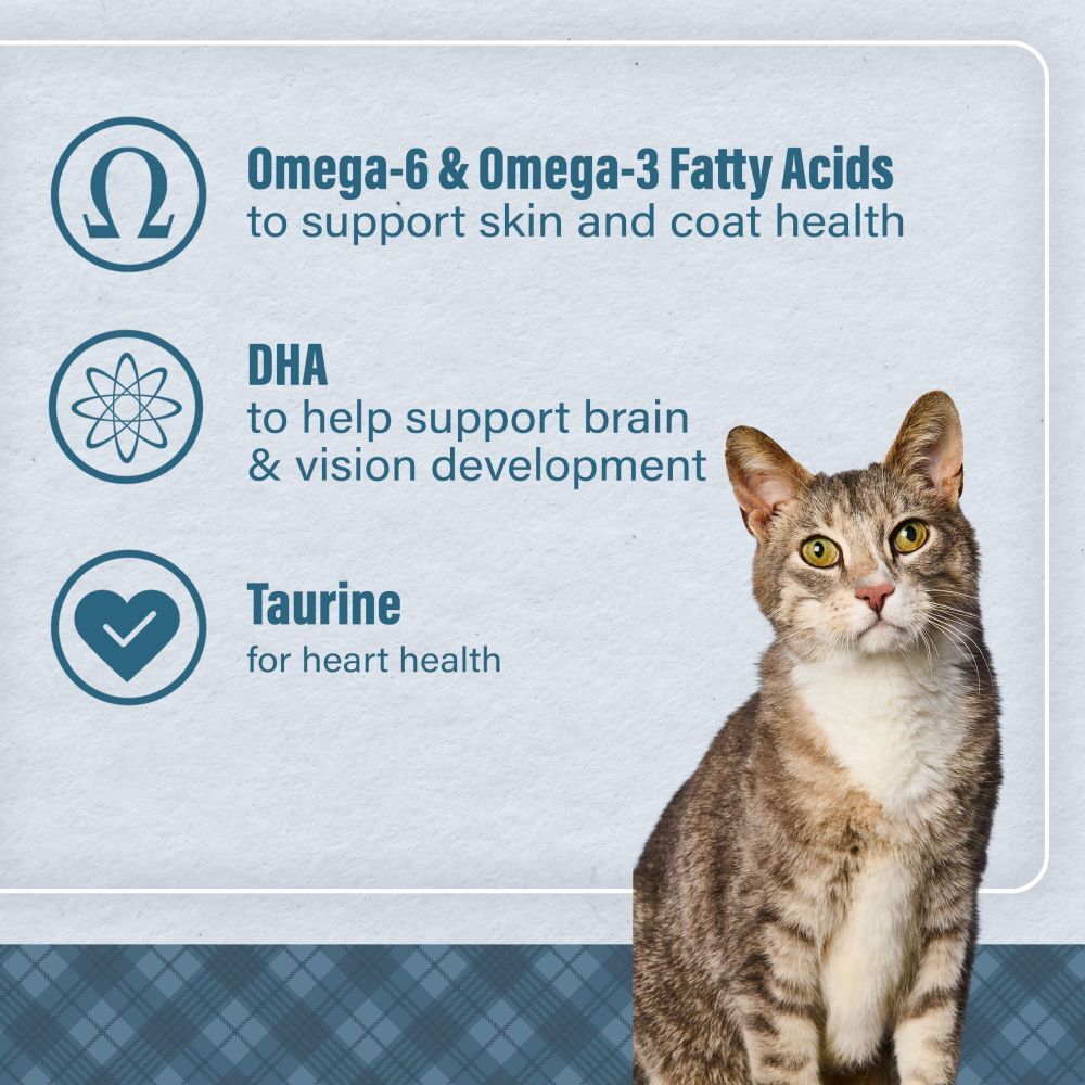 Loyall Life Cat & Kitten Salmon & Ocean Fish Meal Recipe, 20-Lb