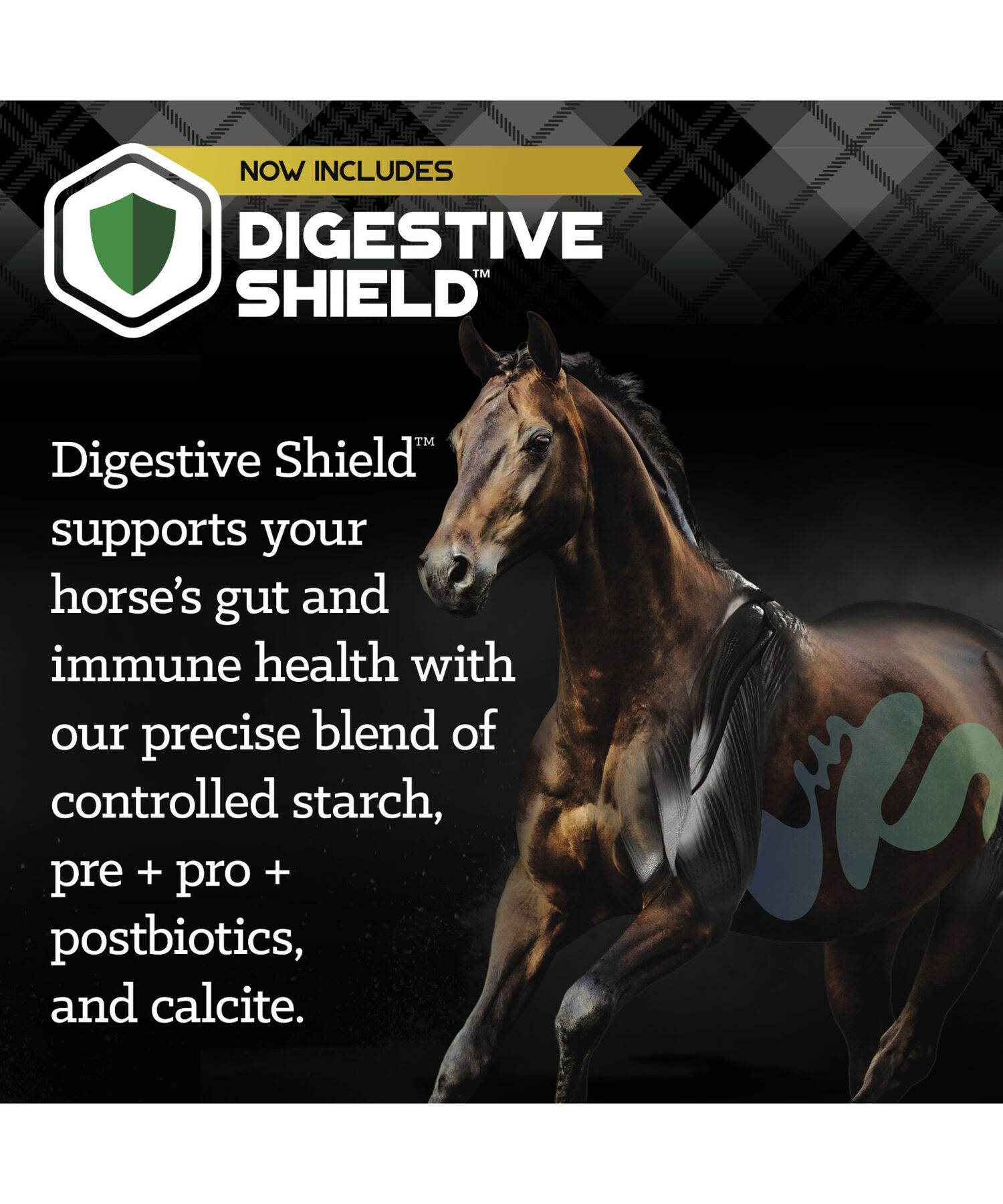 ProForce Fuel Horse Feed, 50-Lb