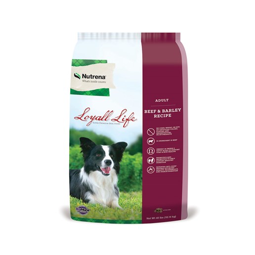 Loyall Life Beef & Barley Adult Dog Food, 40-Lb Bag