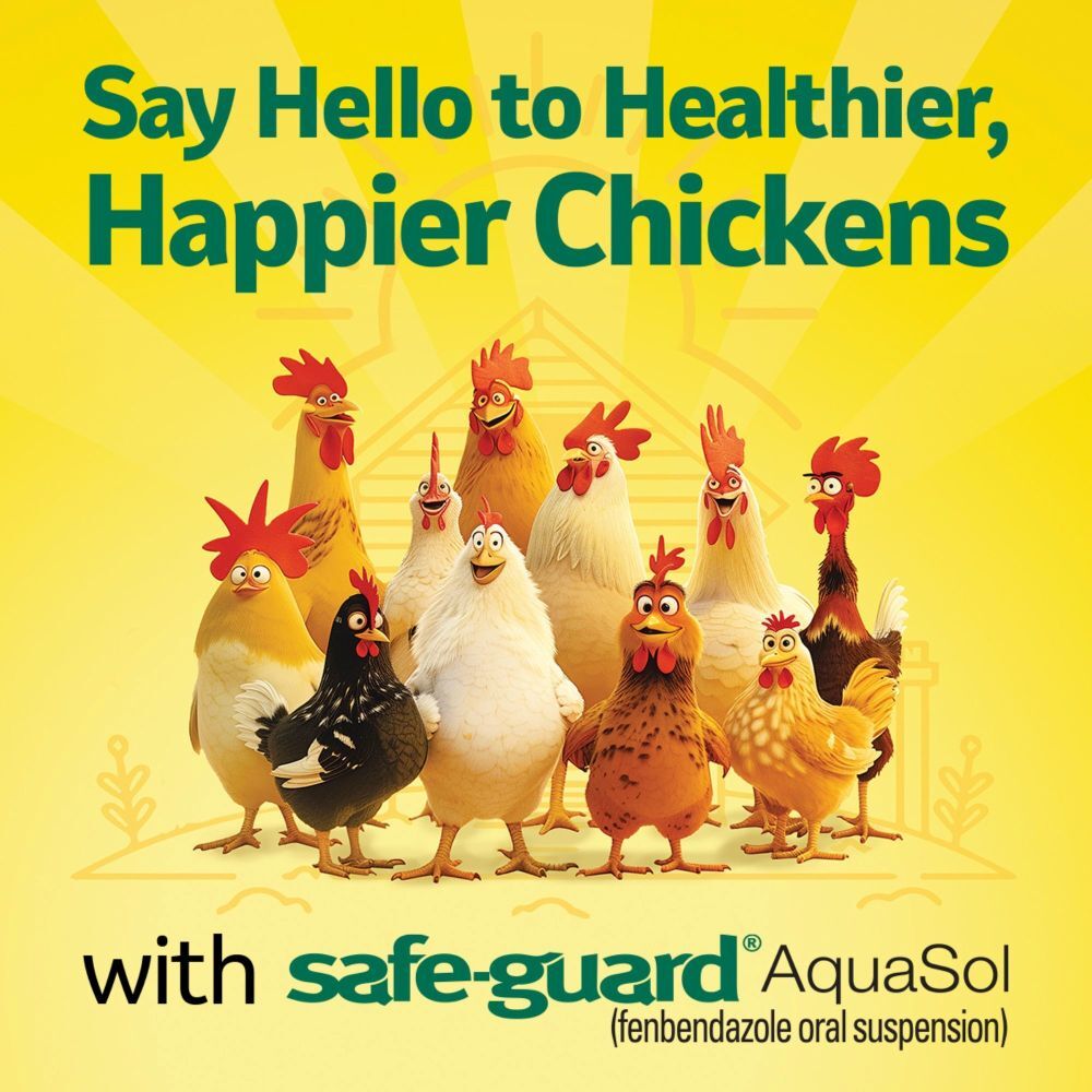 Safe-Guard AquaSol Dewormer for Chickens