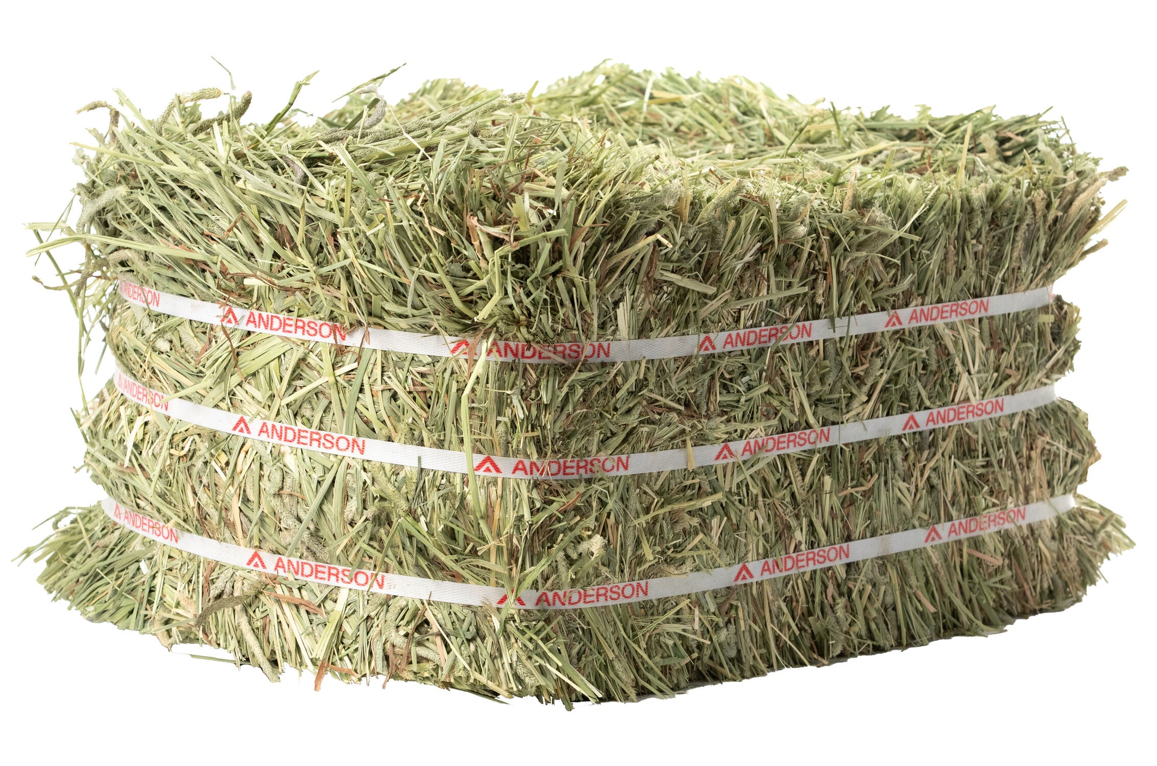Coastal Compressed Timothy Hay Bale, 55 lb.