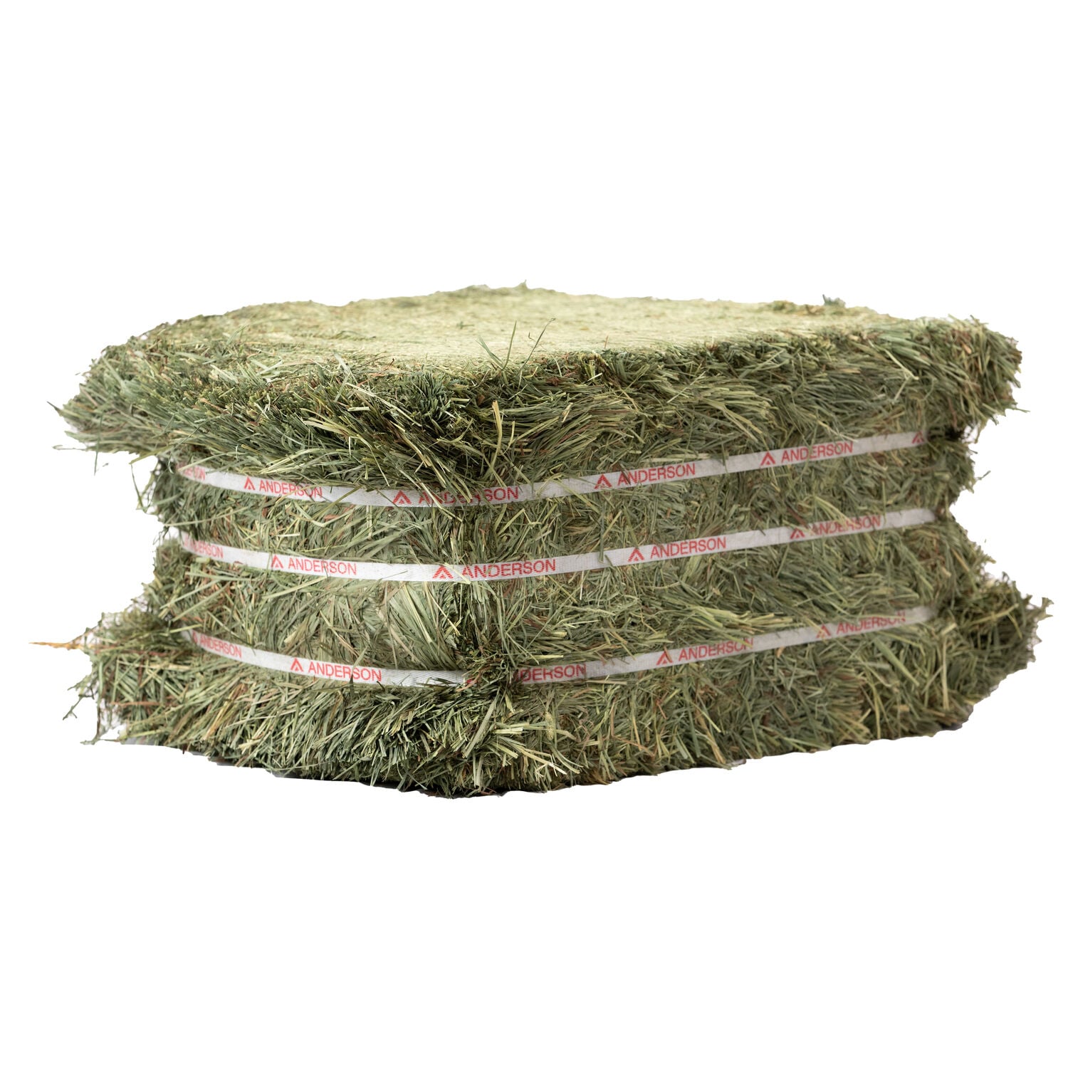 Coastal Compressed Orchard Grass Hay Bale, 50 lb.