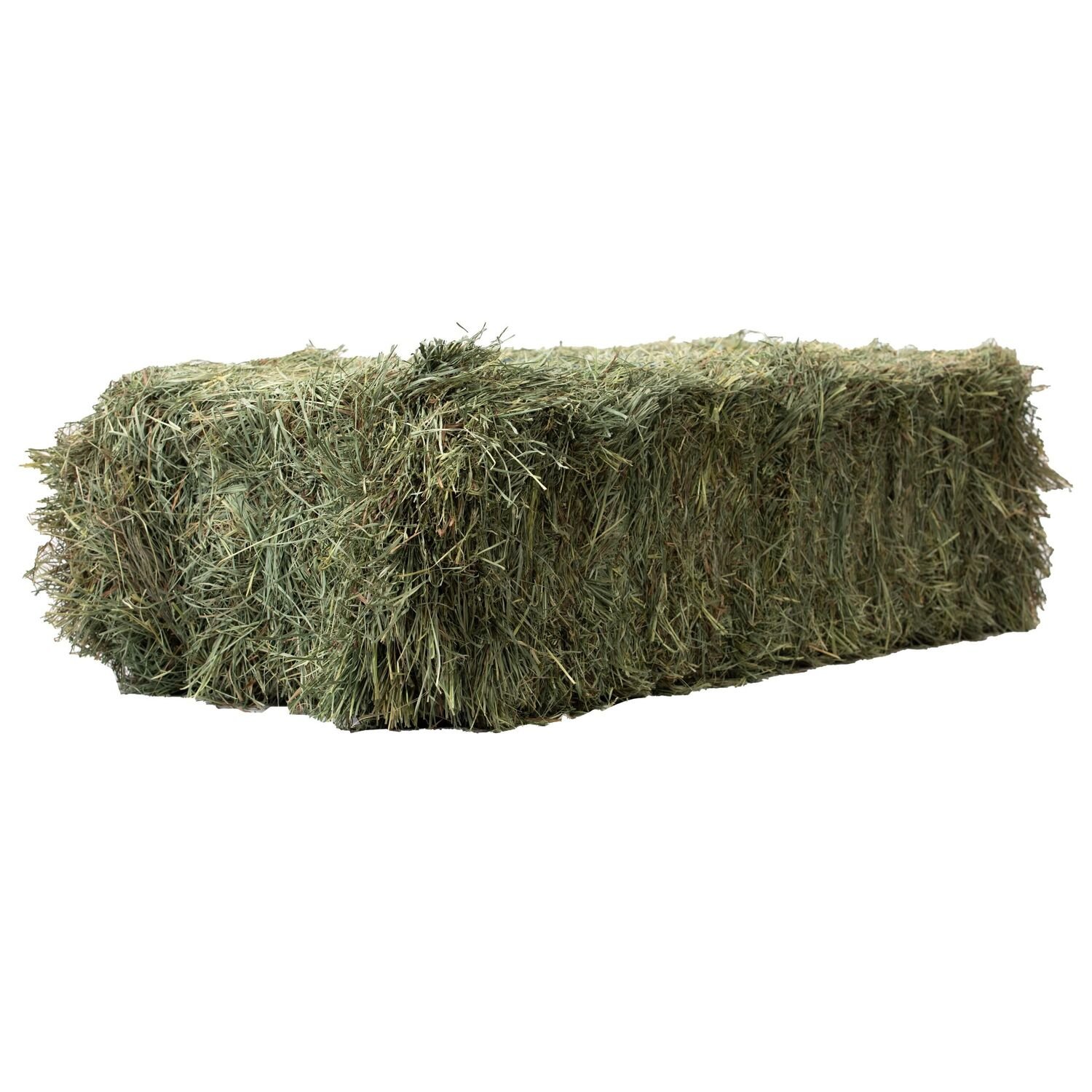 Anderson Hay 3-Tie Orchard Grass Hay Bale, 90-Lb