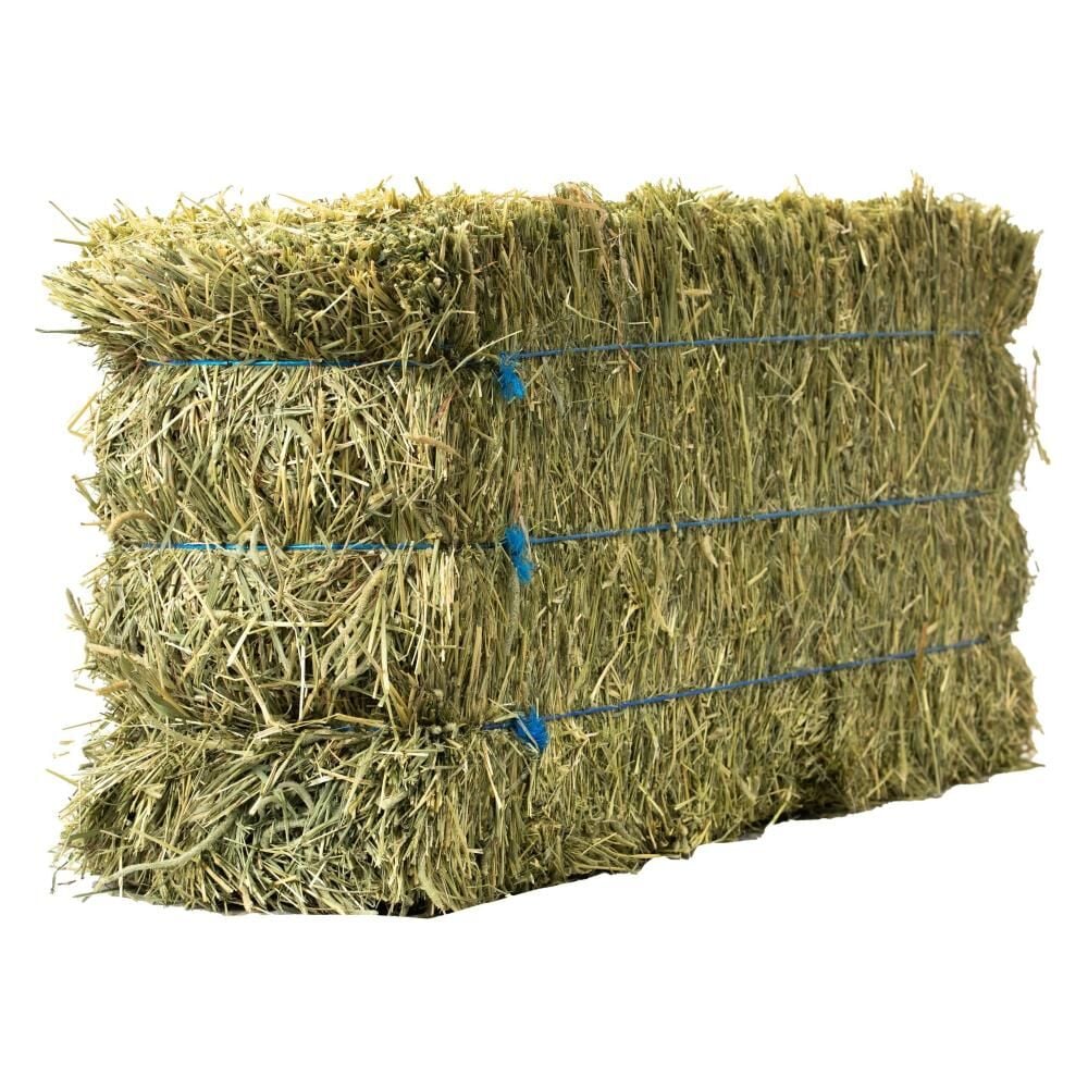Anderson Hay 3-Tie Timoth Hay Bale, 90-Lb
