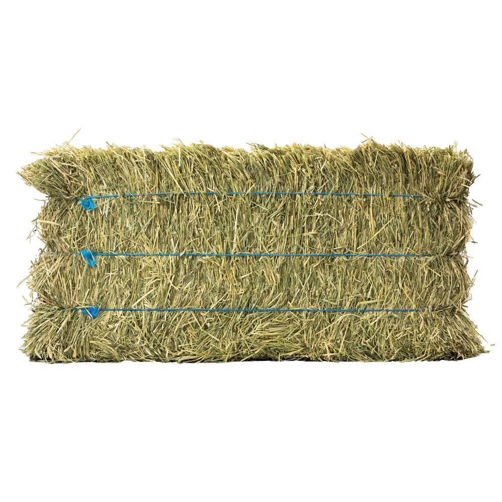 Anderson Hay 3-Tie Timoth Hay Bale, 90-Lb
