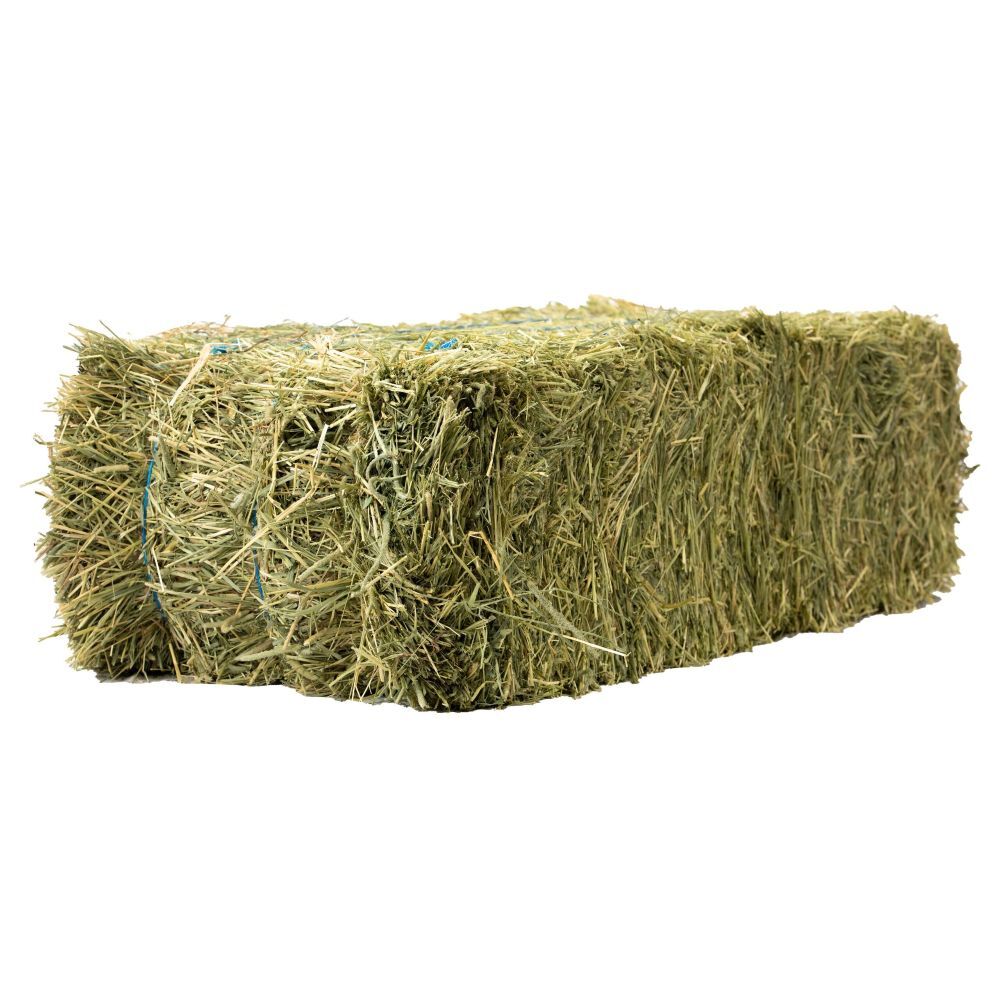 Anderson Hay 3-Tie Timoth Hay Bale, 90-Lb
