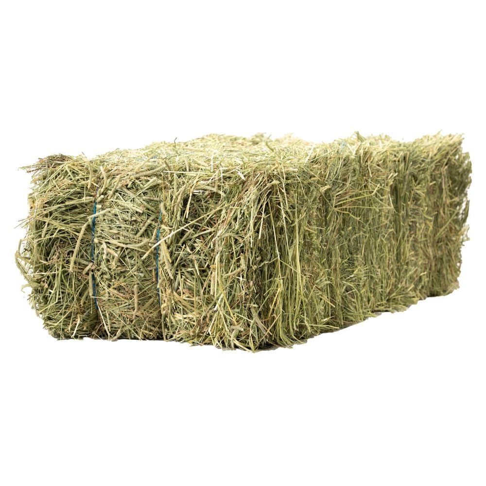 Anderson Hay 3-Tie Valley Grass Hay Bale, 90-Lb