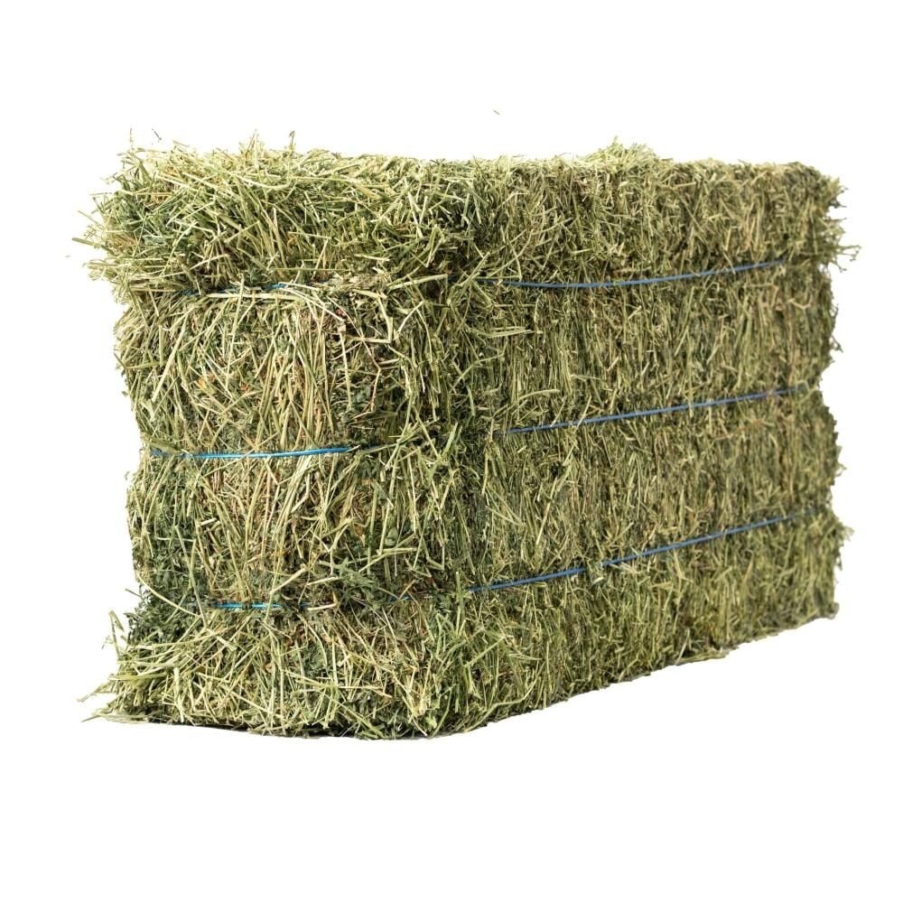 Anderson Hay 3-Tie Alfalfa Hay Bale, 90-Lb