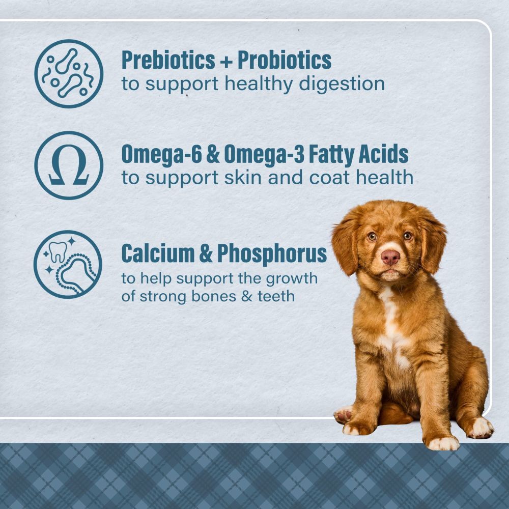 Loyall Life Puppy Chicken & Brown Rice Recipe Dog Food, 6-Lb