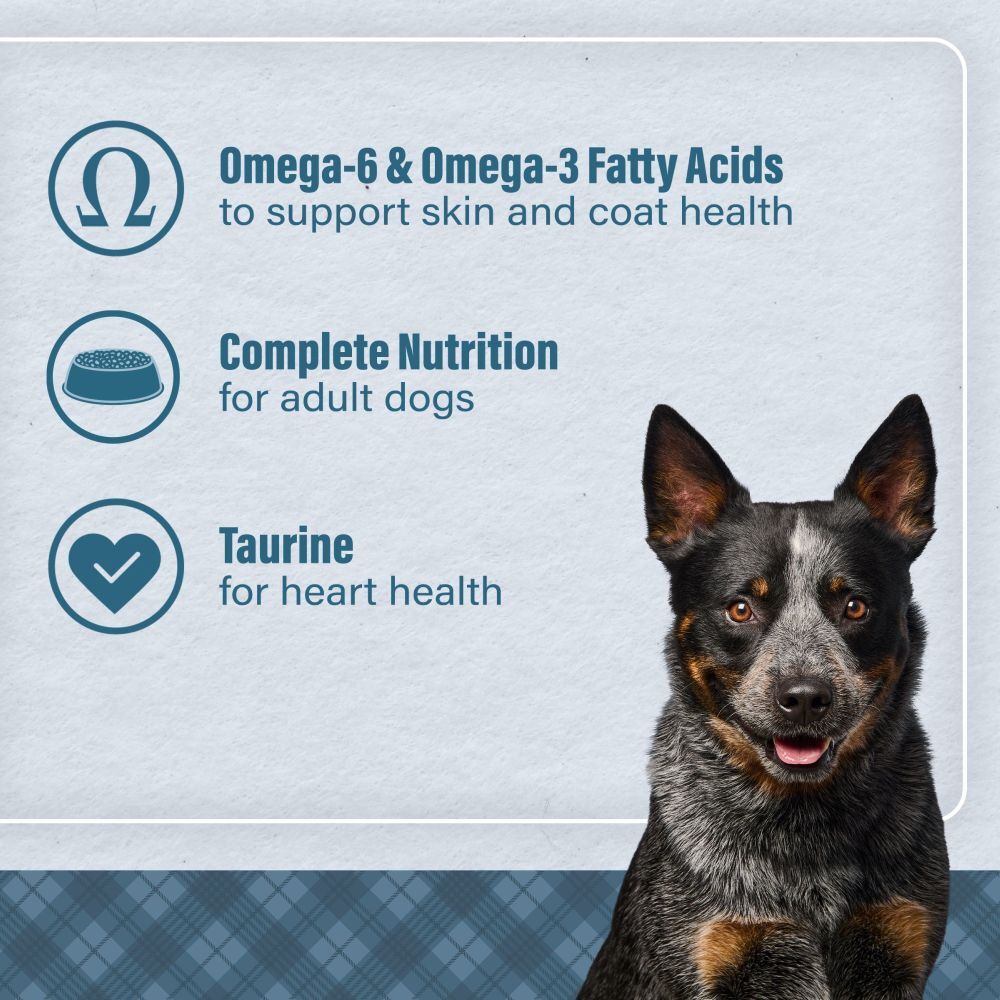 Loyall Life Lamb Meal & Brown Rice Recipe Adult Dog Food, 20-Lb