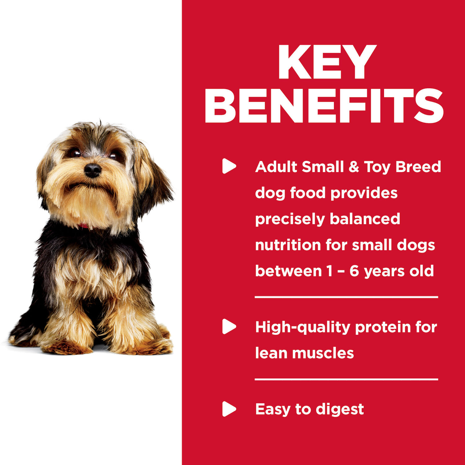 Hill's Science Diet Adult Small Paws Chicken & Barley Entrée Wet Dog Food, 5.8-Oz Can