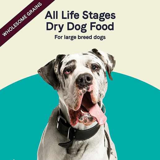 Canidae Turkey & Brown Rice Large Breed All Life Stages Dry Dog Food, 44-Lb