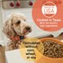 Canidae Turkey & Brown Rice Large Breed All Life Stages Dry Dog Food, 44-Lb