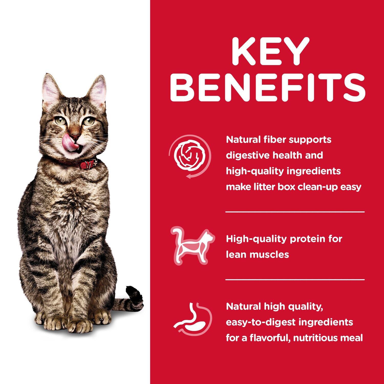 Hill's Science Diet Senior 7+ Indoor Chicken Recipe Dry Cat Food, 3.5-Lb Bag