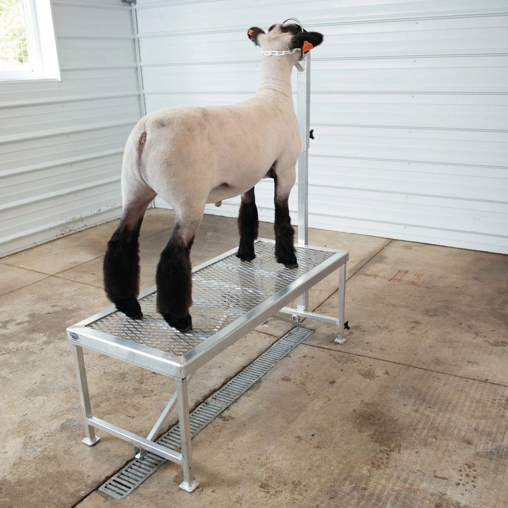Weaver Leather Original Complete Aluminum Trimming Stand with Adjustable Wire Cheek