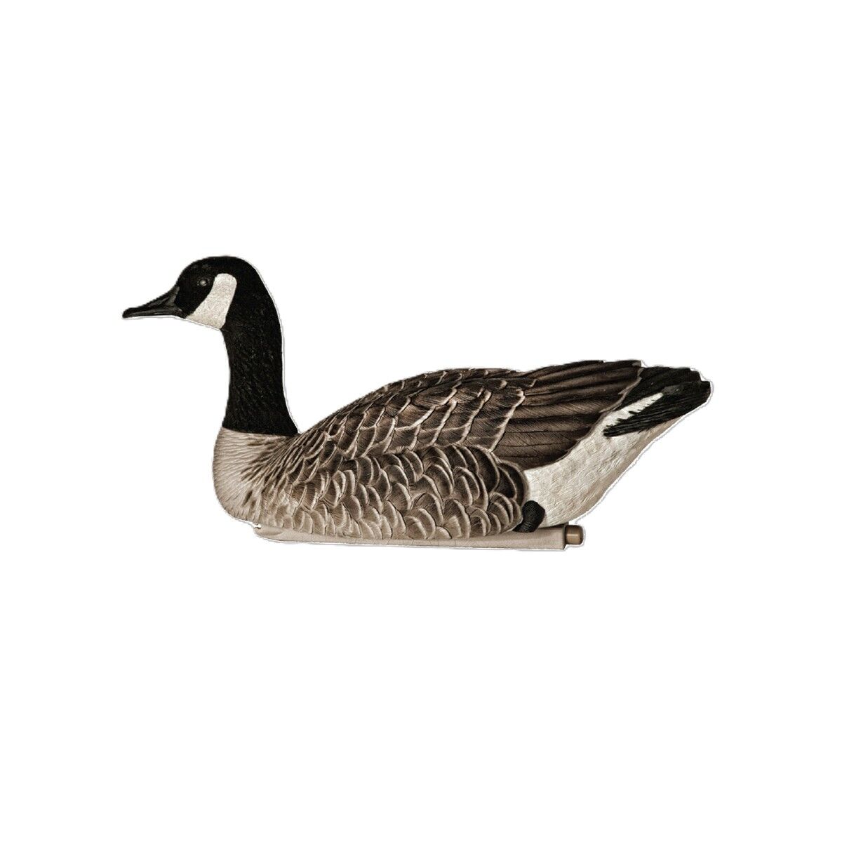 Avian-X Topflight Honkers Floater Decoys, 4-Pk