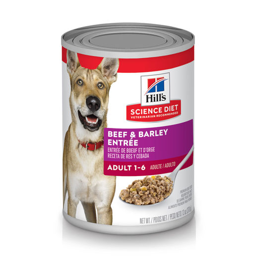 Hill's Science Diet Adult Beef Barley Entrée Wet Dog Food, 13-Oz