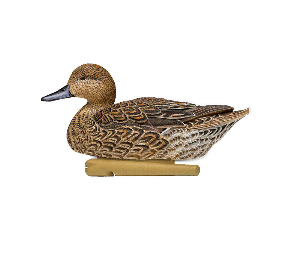Avian-X Topflight Pintails Decoys