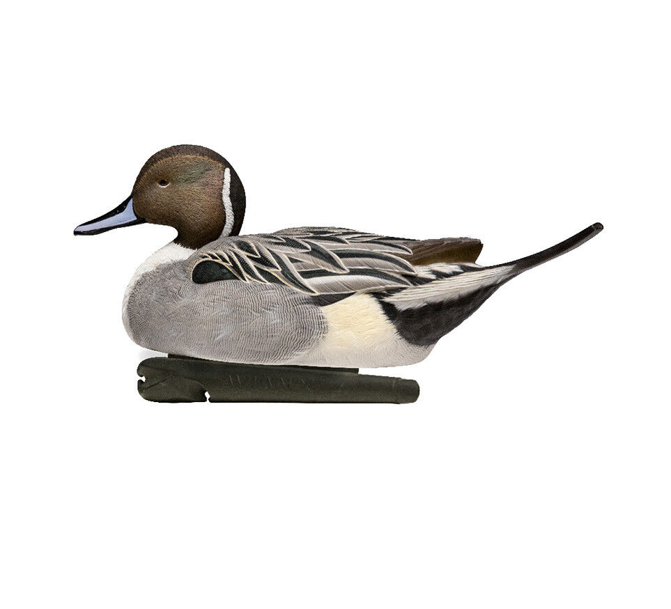 Avian-X Topflight Pintails Decoys