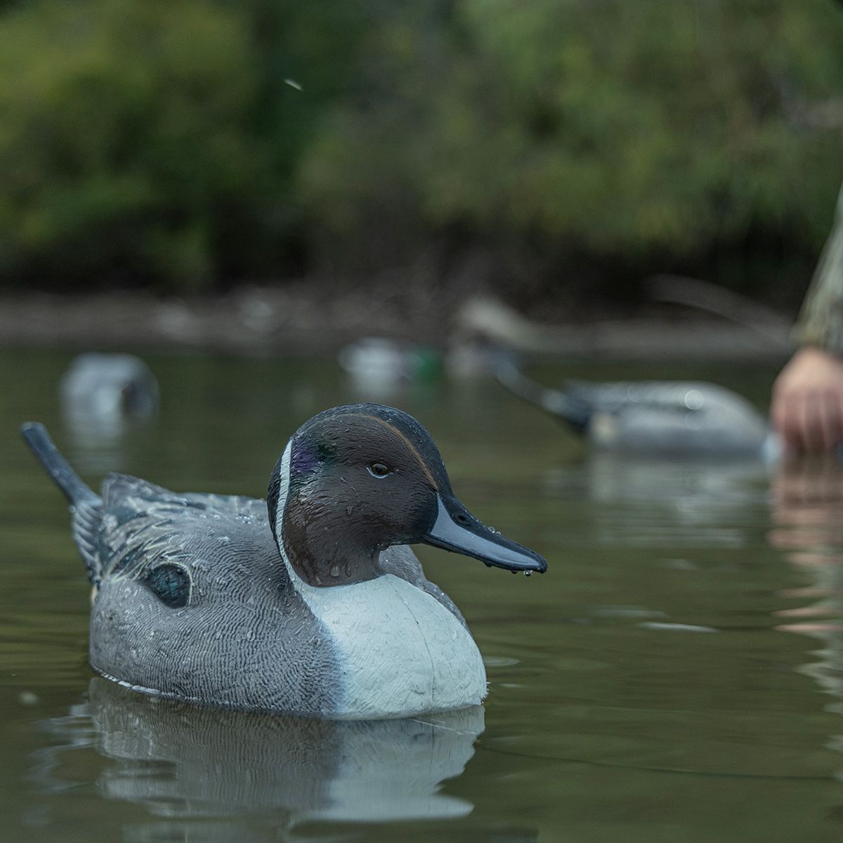 Avian-X Topflight Pintails Decoys
