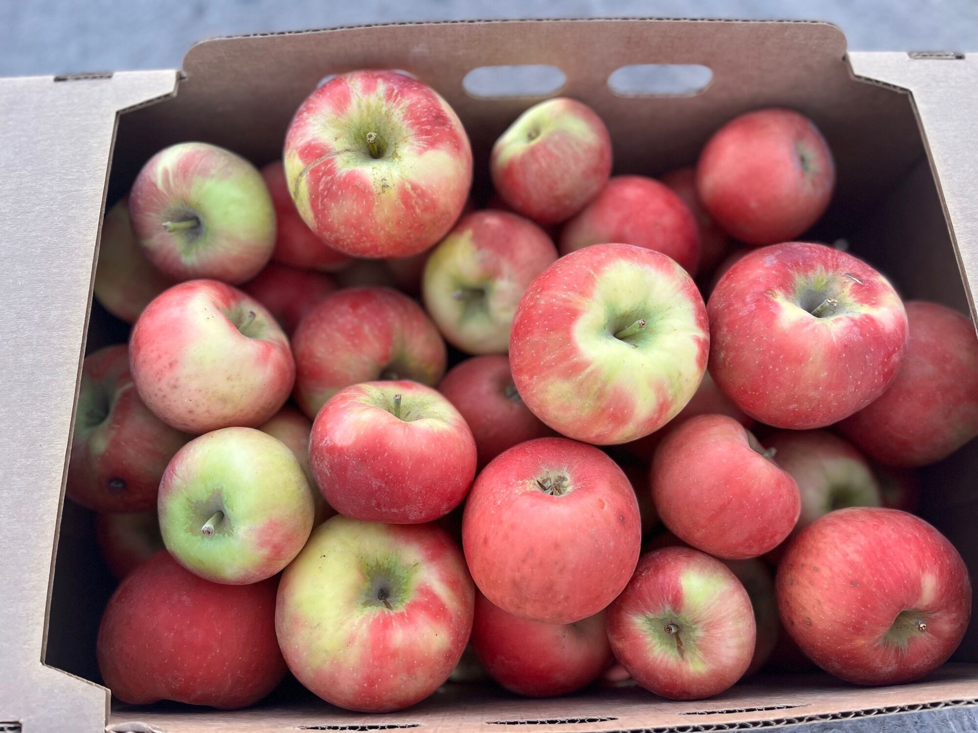 Rileys' Orchard Gala Apples, 18-lb Box