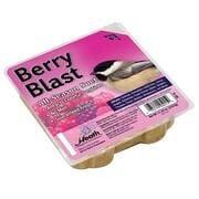 Heath Berry Blast Suet, 11.25-Oz Cake