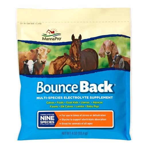 Bounce Back Multi Species Electrolyte Supplement, 4-Oz Packet