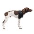 Hot & Cold Medium Hip Pet Therapy Wrap with Gel