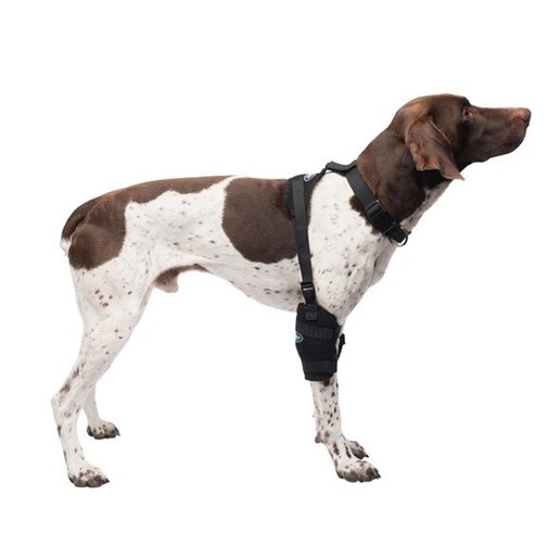 Hot & Cold Medium Elbow Pet Therapy Wrap with Gel