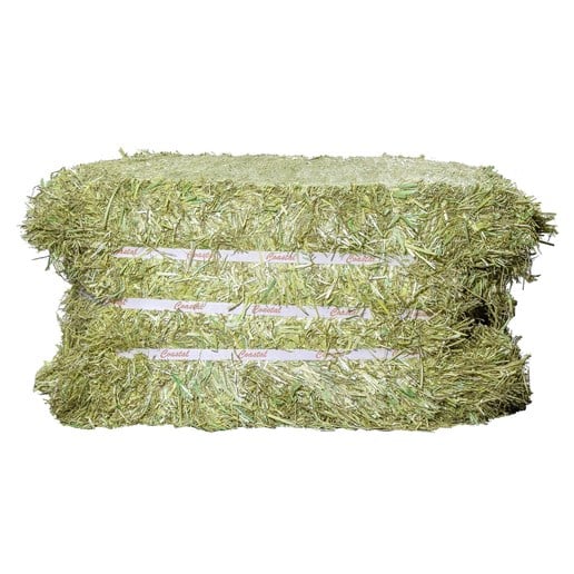 Coastal Compressed Orchard Grass Hay Bale, 50-Lb Bale