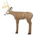Intruder Deer 3D Archery Target