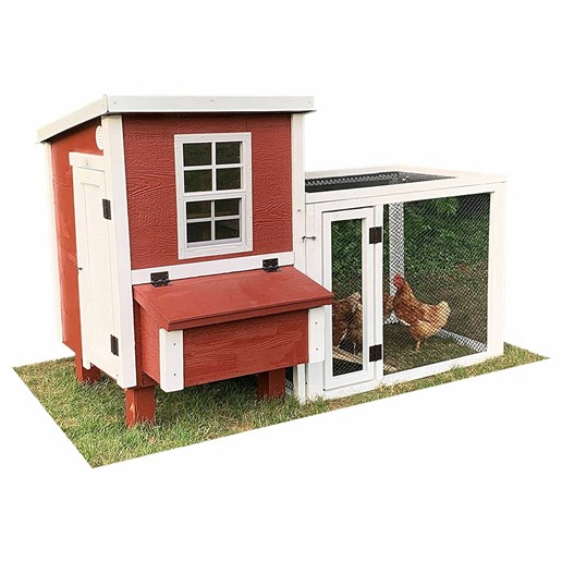 American Model Coop in a Box, 5 Chickens