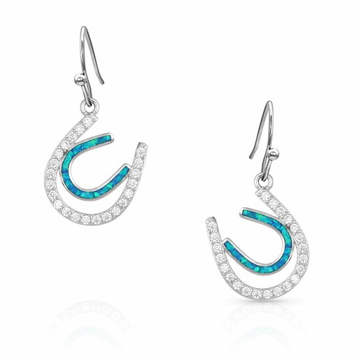 Tipping Luck Sparkly Horseshoe Earrings