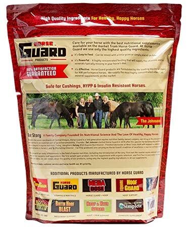 Flix Flax Horse Treats, 9-Lb Bag