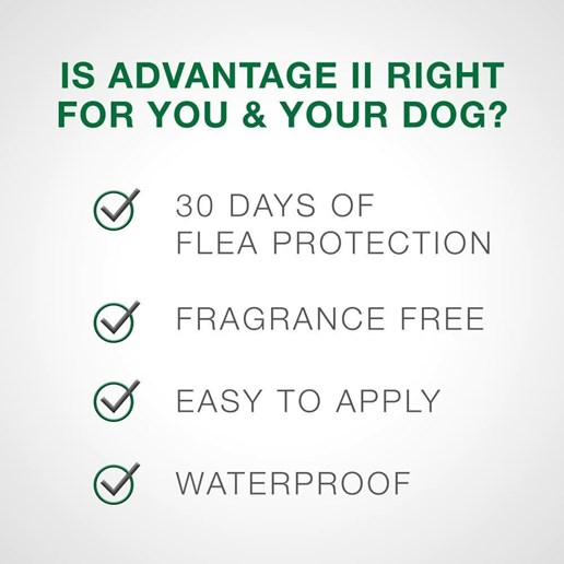 Advantage II Flea and Lice Treatment for Medium Dogs, 11-20-Lb, 4-Pk
