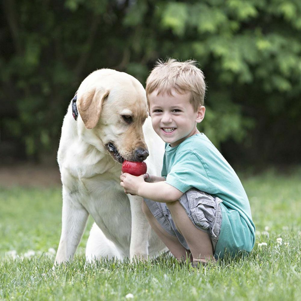 Large KONG® Classic Red Dog Toy