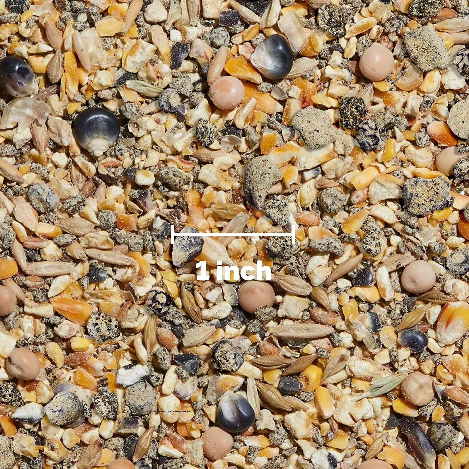 Organic Layer Mash, 25-Lb Bag