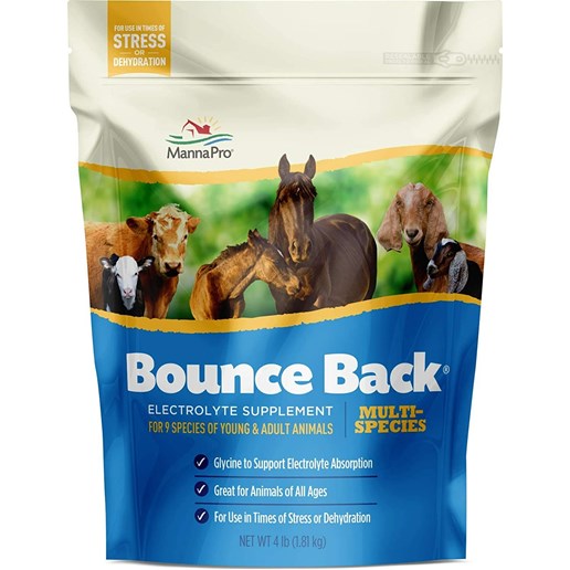 Manna Pro Bounce Back Multi Species Electrolyte Supplement, 4-Lb Bag