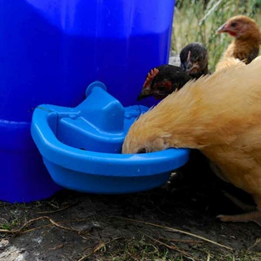 MaxiCup Semi-Automatic Poultry Drinker Cup