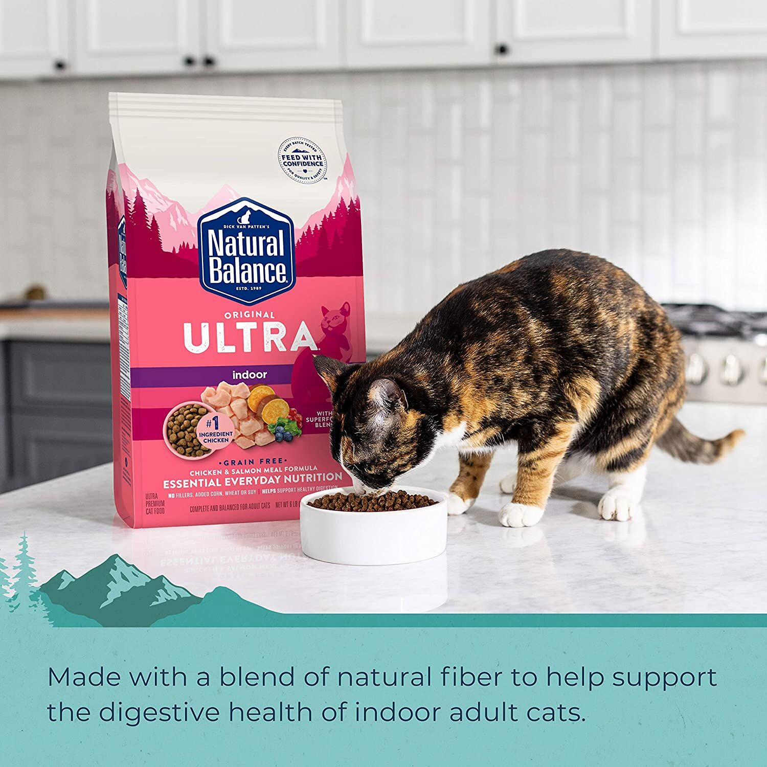 Ultra Chicken Meal & Salmon Meal Dry Cat Food, 6-lb