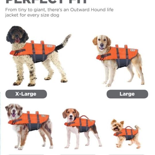 Dog life jacket sales large